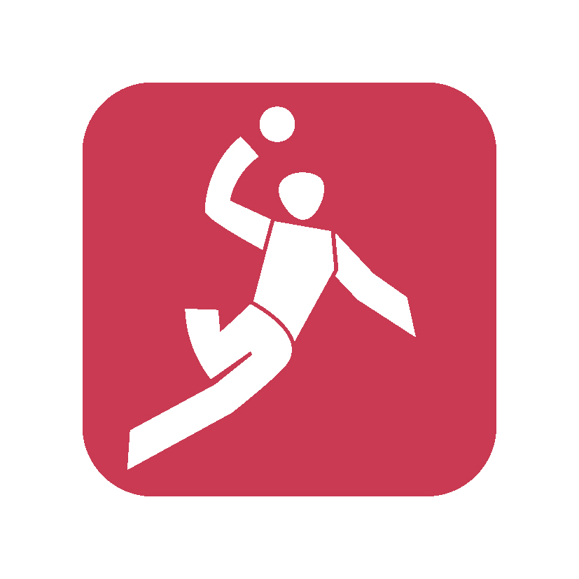 icon_handball_weiss_auf_rot_50mm_rgb_300dpi.jpg